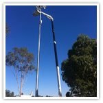 elevated platform hire