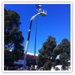 tower hire Victoria
